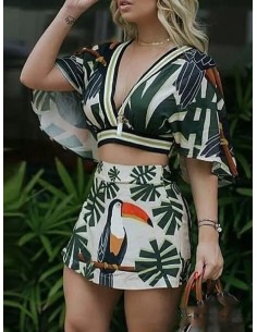 CONJUNTO PREECHA